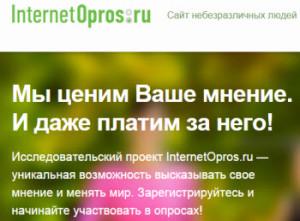 сколько можно заработать на интернет опросах