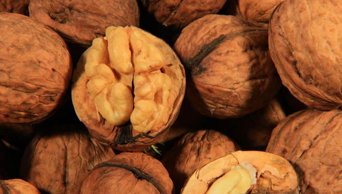 Бизнес на грецких орехах